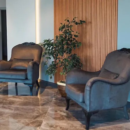 Hotel Altinova Sakarya 3*